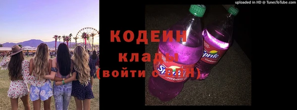 ГАЛЛЮЦИНОГЕННЫЕ ГРИБЫ Богданович