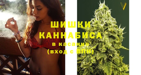 бошки Белокуриха