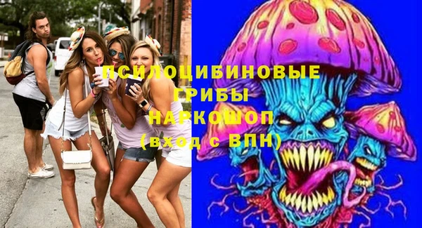 бошки Белокуриха