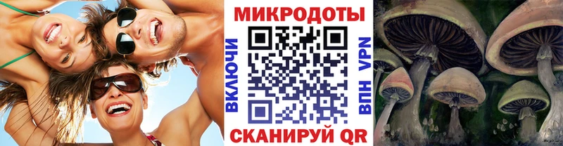 дарк нет как зайти Краснокаменск Галлюциногенные грибы Cubensis